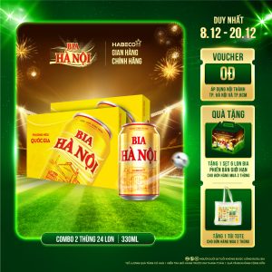 Combo 2 Thùng Bia Hà Nội - Thùng 24 lon 330ml