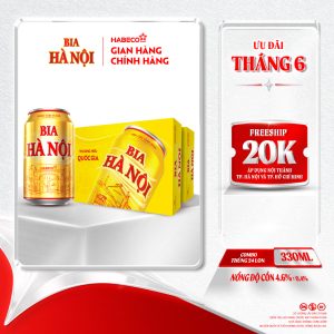 Combo 2 Thùng Bia Hà Nội - Thùng 24 lon 330ml