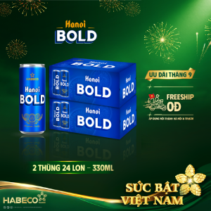 Combo 2 thùng Bia Hanoi BOLD – Thùng 24 lon 330ml
