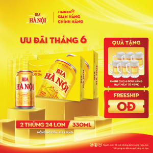 Combo 2 Thùng Bia Hà Nội - Thùng 24 lon 330ml