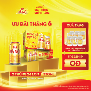 Combo 2 Thùng Bia Hà Nội - Thùng 24 lon 330ml - Khuyến mại hè 2025