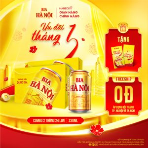 Combo 2 Thùng Bia Hà Nội - Thùng 24 lon 330ml